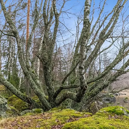 Kaerkimoekki By Interhome *