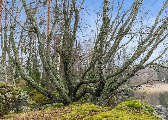 Kaerkimoekki By Interhome *